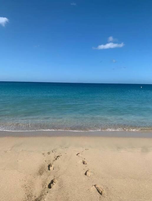 Casita 8 Minutes From Crashboat Beach أغواديلا المظهر الخارجي الصورة